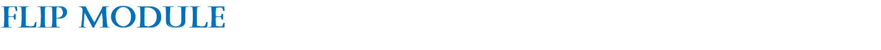 flip module
