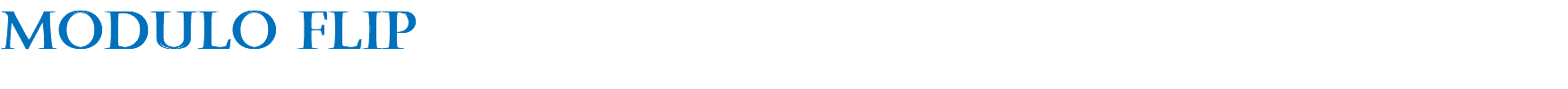 modulo flip